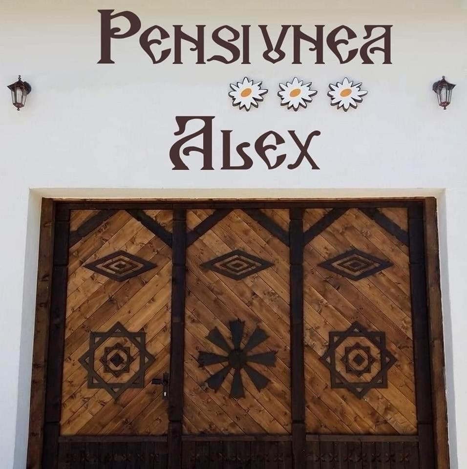 Pensiunea Alex Marga Екстериор снимка